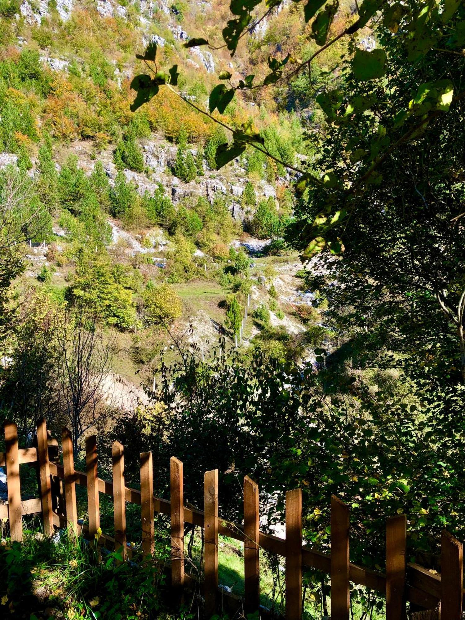 Bed and Breakfast Bujtina Pllumi Theth Zewnętrze zdjęcie